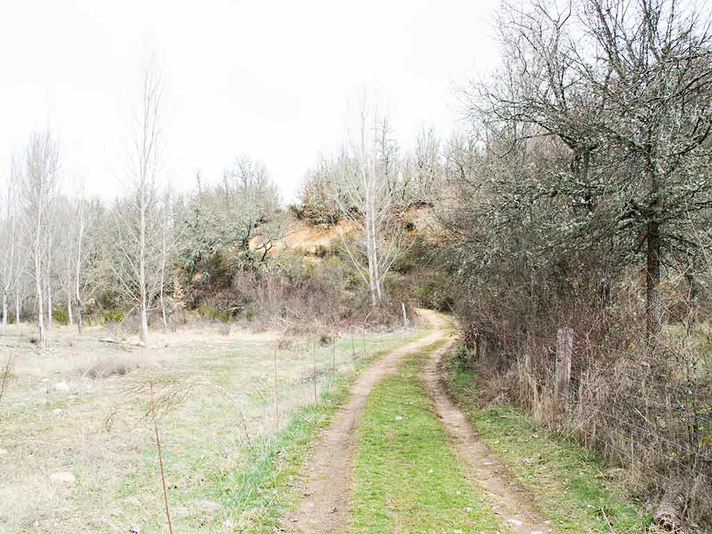 Ruta entre Manzaneda y Pedrún de Torío