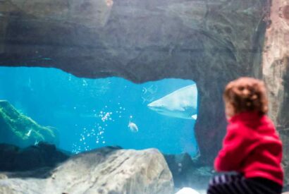 Acuario de Gijón