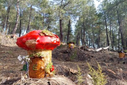 Casita hecha a mano ubicada en el Bosque Mágico de Alija del Infantado