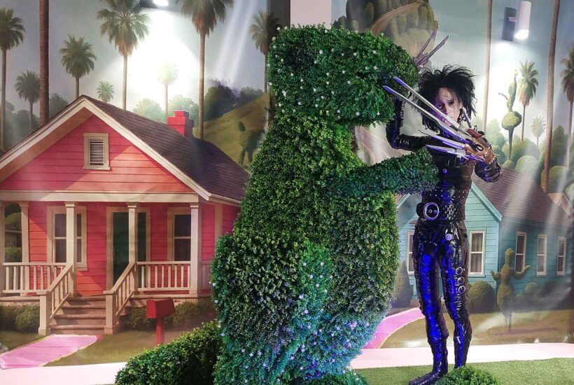 Figura de Eduardo Manostijeras cortando un seto en forma de dinosaurio en la exposición sobre Tim Burton del Museo Munic en Carracedelo.
