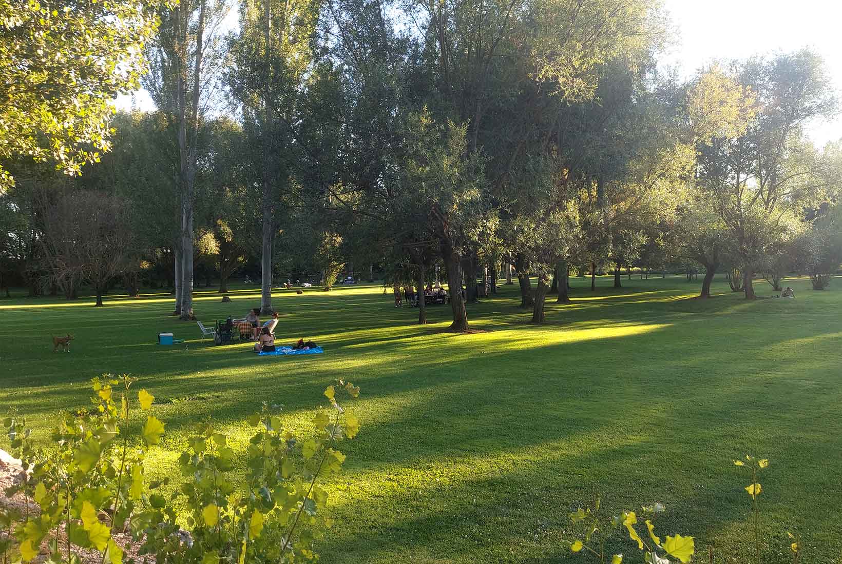 Gran pradera en el Parque de la Candamia un día soleado en el que varias personas descansan sobre mantas y sillas. 