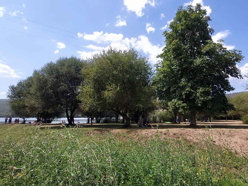 Zona de árboles con personas descansando bajo ellos en el Lago de Carucedo