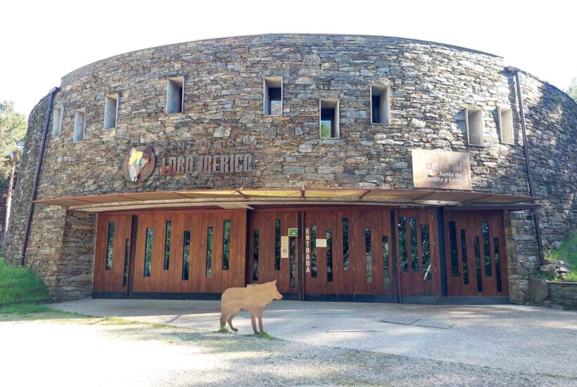 Visita con niños al Centro del Lobo Ibérico Menudo es León