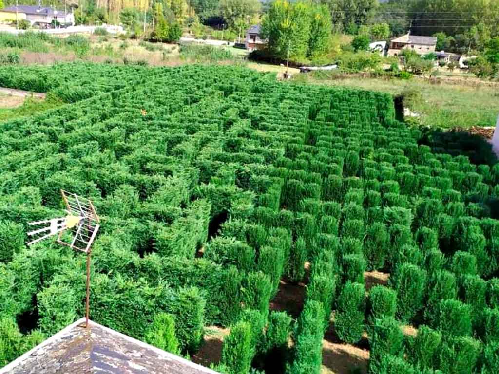 Vista desde arriba de un laberinto vegetal ubicado en Carucedo