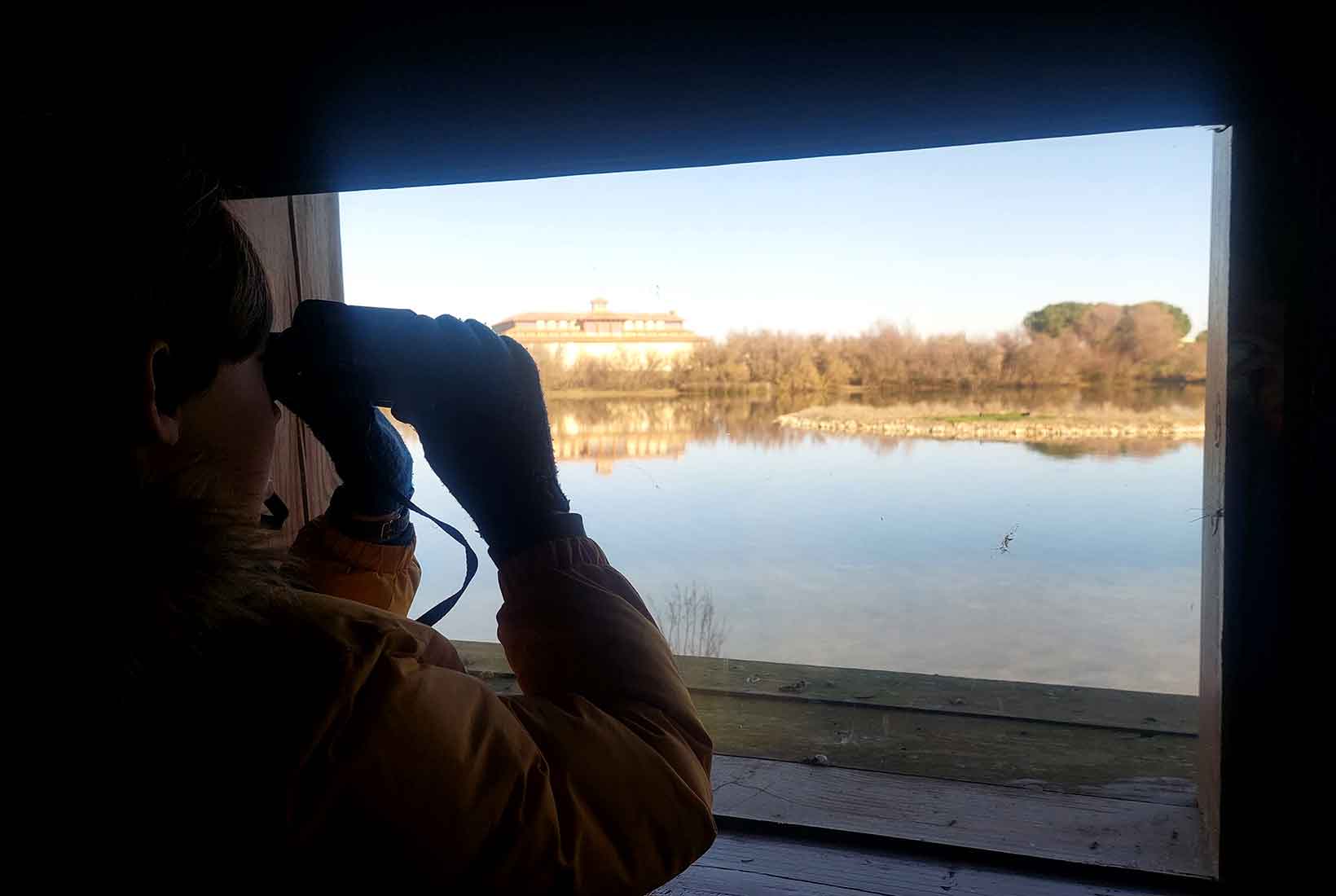 Un niño mira por unos prismáticos de un mirador hacia una laguna en Villafáfila