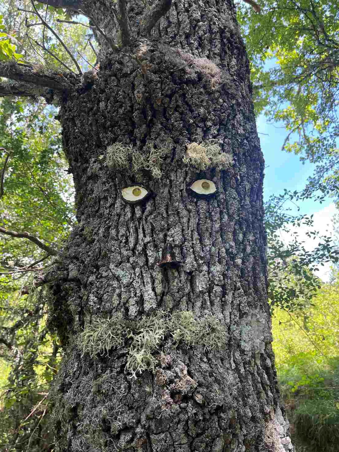 Tronco de árbol con ojos para simular que tiene vida en la Senda del Mamut, en Oceja de Valdellorma