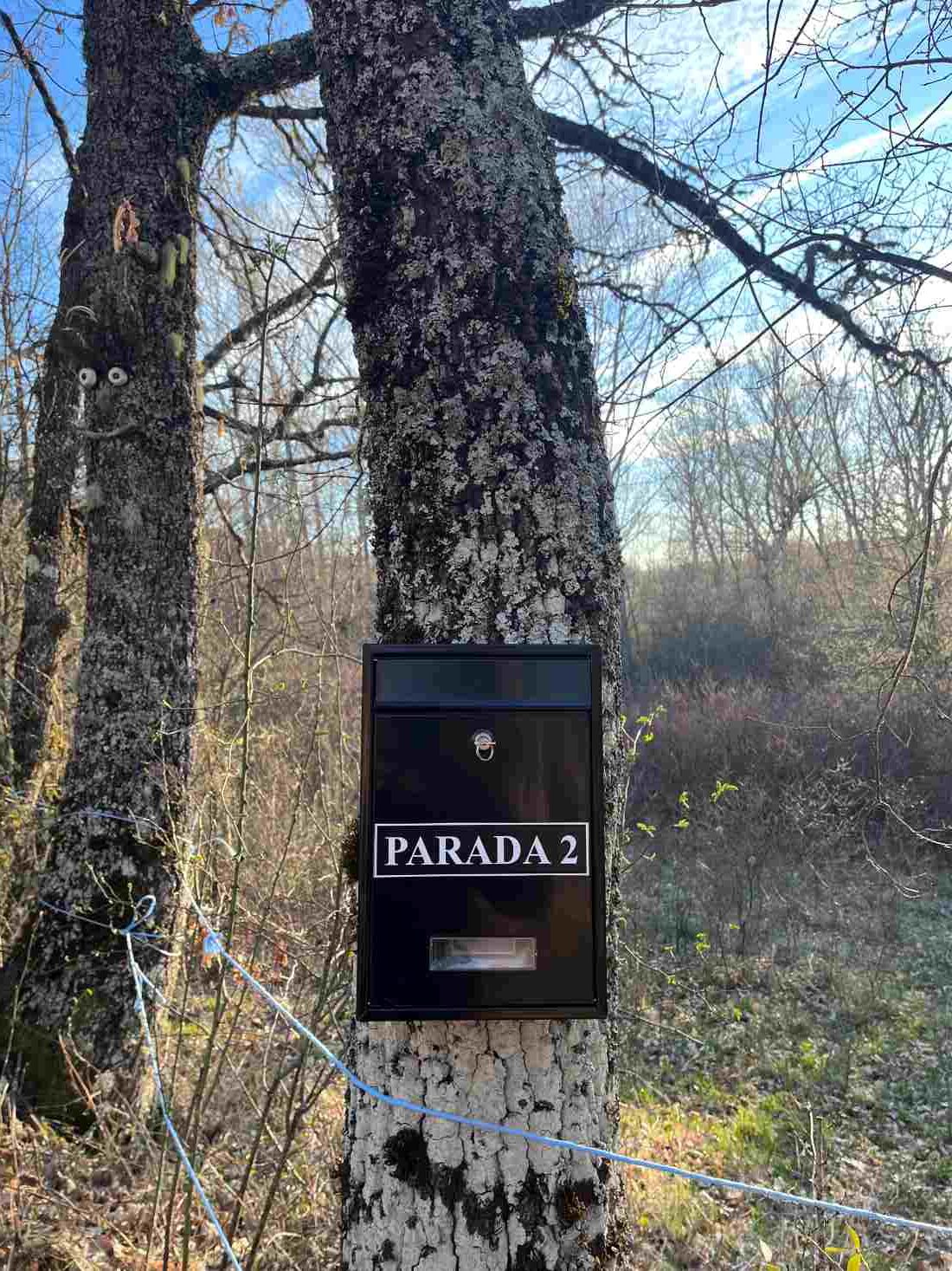 Buzón de la Parada 2 sobre un tronco en la Senda Interactiva del Mamut, en Oceja de Valdellorma, León