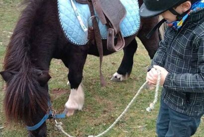 Un niño, preparado para montar, observa a un pony mientras lo mantiene agarrado de una cuerda