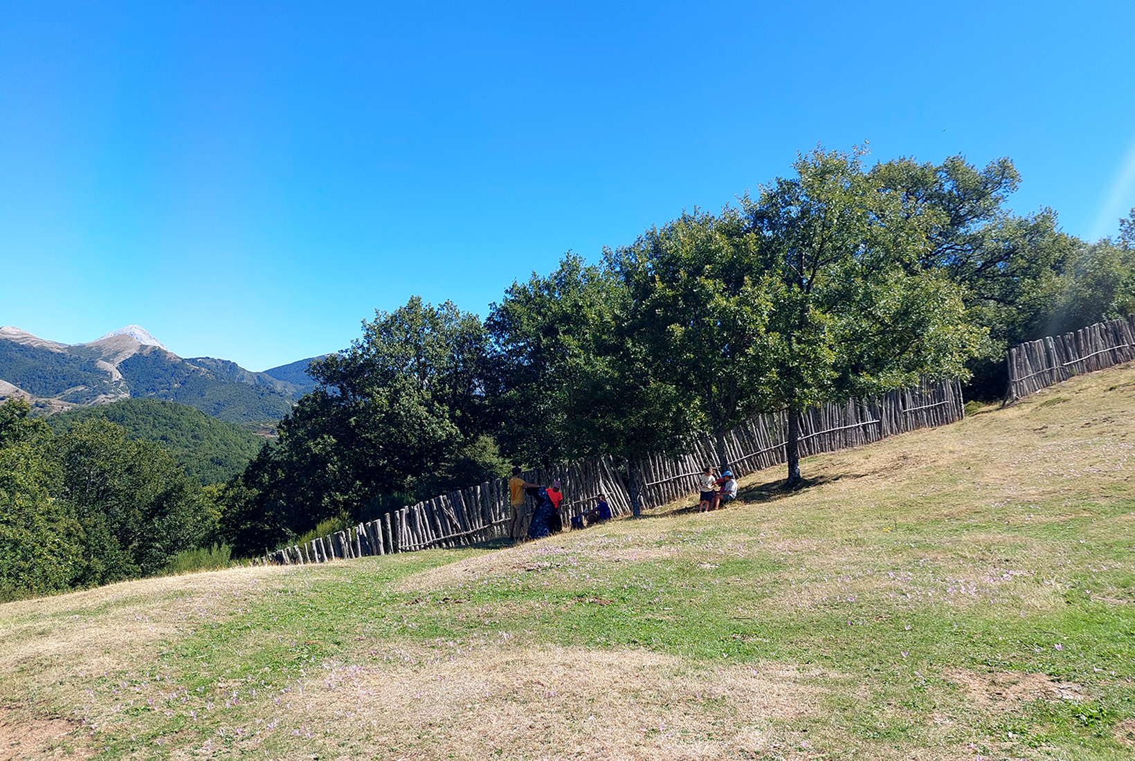 Varias personas descansan junto a unos árboles al lado del Corral de los Lobos de Prioro, en León.