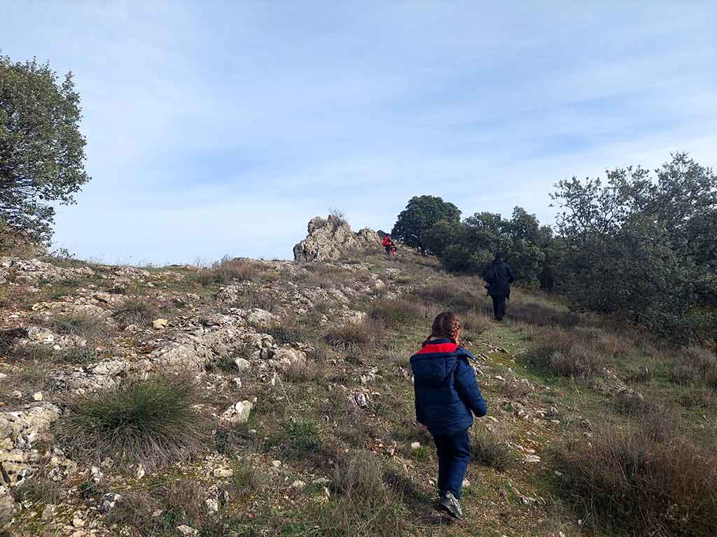 Una niña camina por el monte